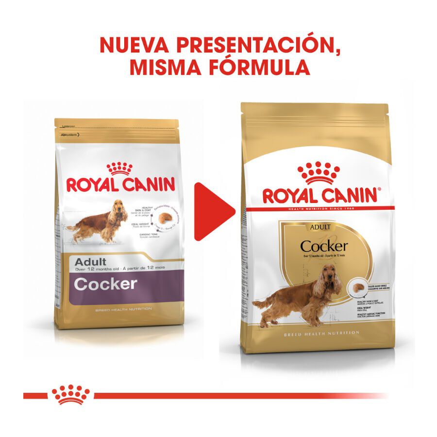 Royal Canin Adult Cocker pienso para perros thumbnail