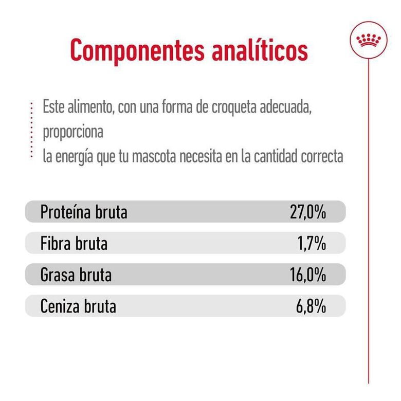 Royal Canin Mini Adult pienso para perros thumbnail