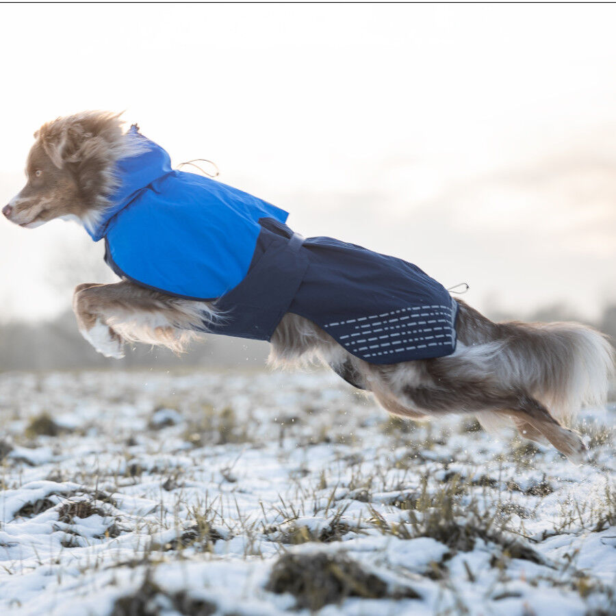 Non-stop dogwear Fjord Chubasquero Impermeable Azul para perros thumbnail
