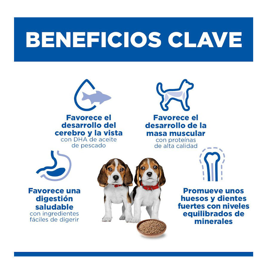 370 g Hill's Science Plan Puppy Ternera en Pat&eacute; lata para perros, , large Imagen numero 4