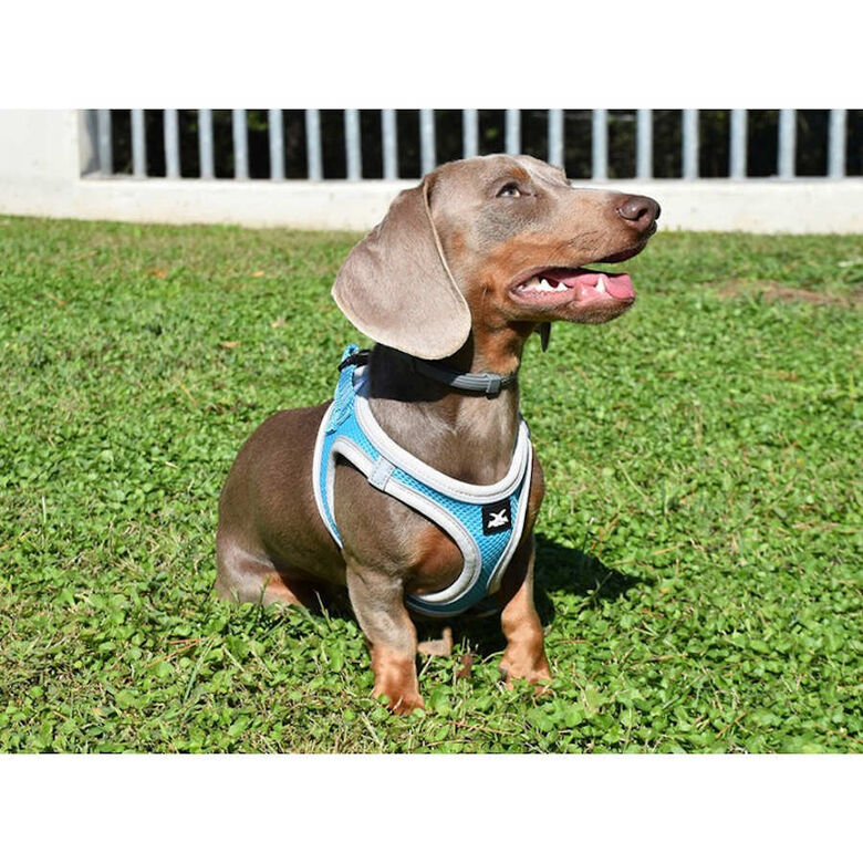Nayeco X-TRM Neo Azul arnés para perros thumbnail