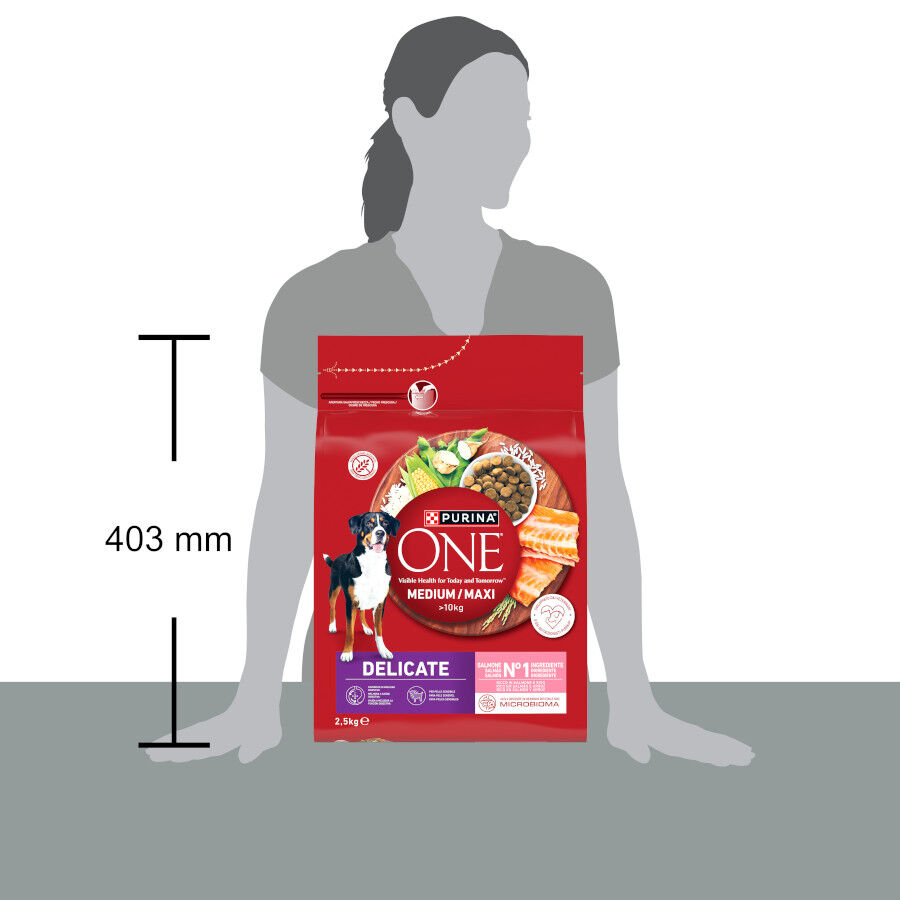 2,5 kg Purina One Delicate Pienso Salm&oacute;n para perros, , large Imagen numero 4