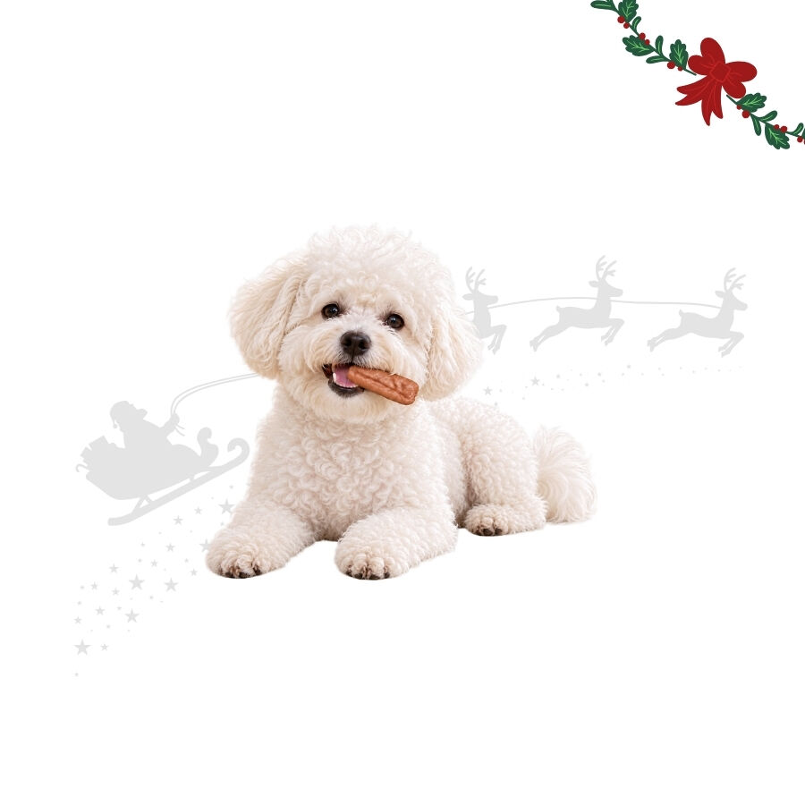 1 bolsita Wonder Christmas Salchichas de Pollo Snacks para perros, , large Imagen numero 1