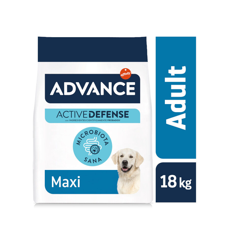 Advance Active Defense Maxi Adult pollo y arroz pienso para perros thumbnail
