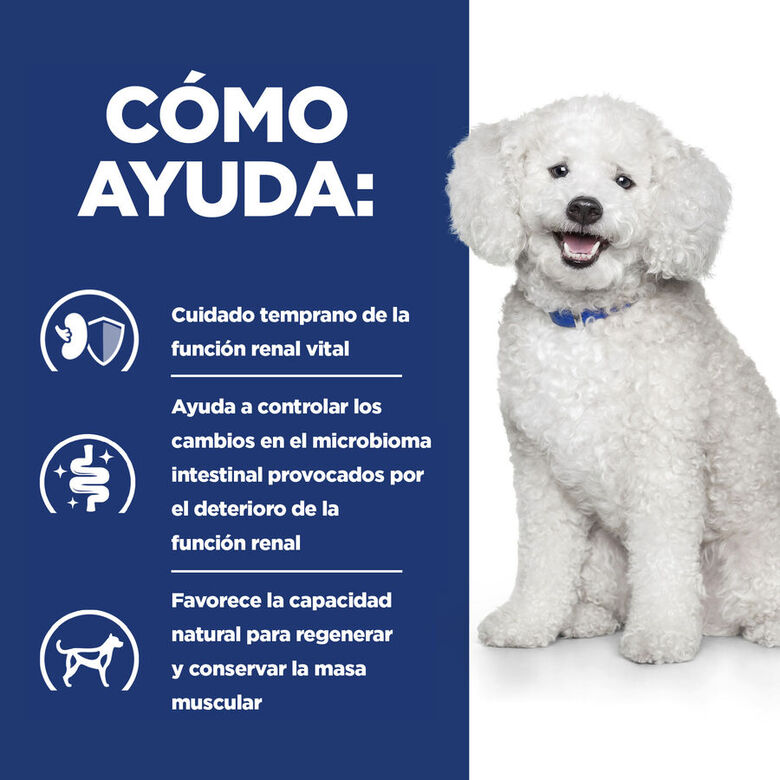 Hill&#039;s Prescription Diet Kidney Care k/d Early Stage pienso para perros thumbnail