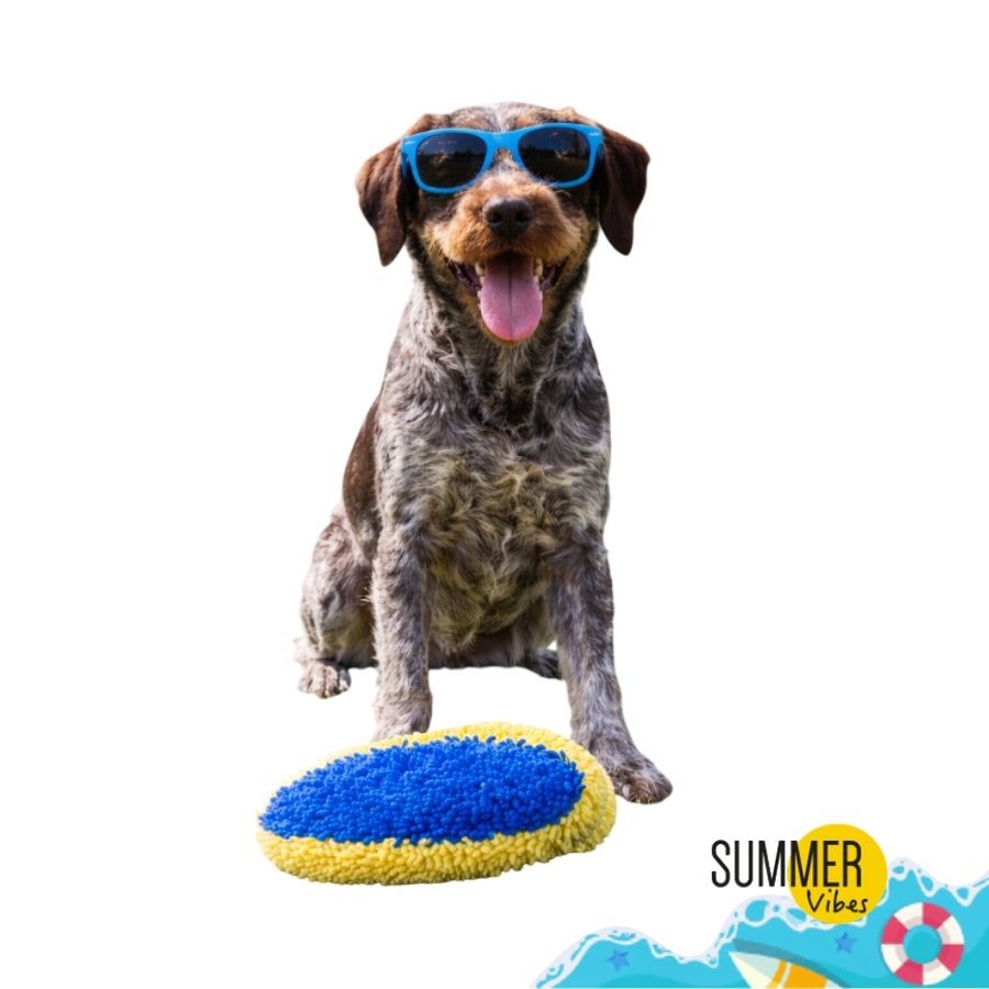 Summer Vibes Pelota Rugby Ovalado con Sonido Peluche para perros, , large Imagen numero 7