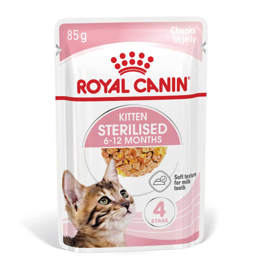 Royal Canin Kitten Sterilised gelatina para gatos thumbnail
