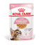 85 g Royal Canin Kitten Sterilised gelatina para gatos, , large indicador imagen numero 2