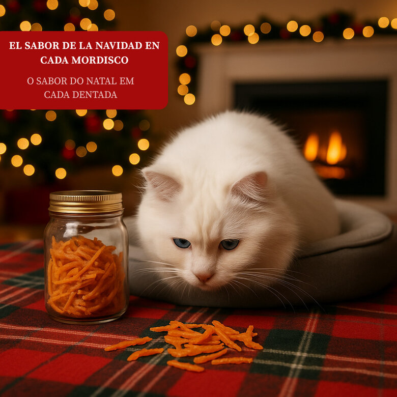 50 g Wonder Christmas Snack Navideño para gatos,  Imagen numero 4 50 g Wonder Christmas Snack Navideño para gatos, , large Imagen numero 4