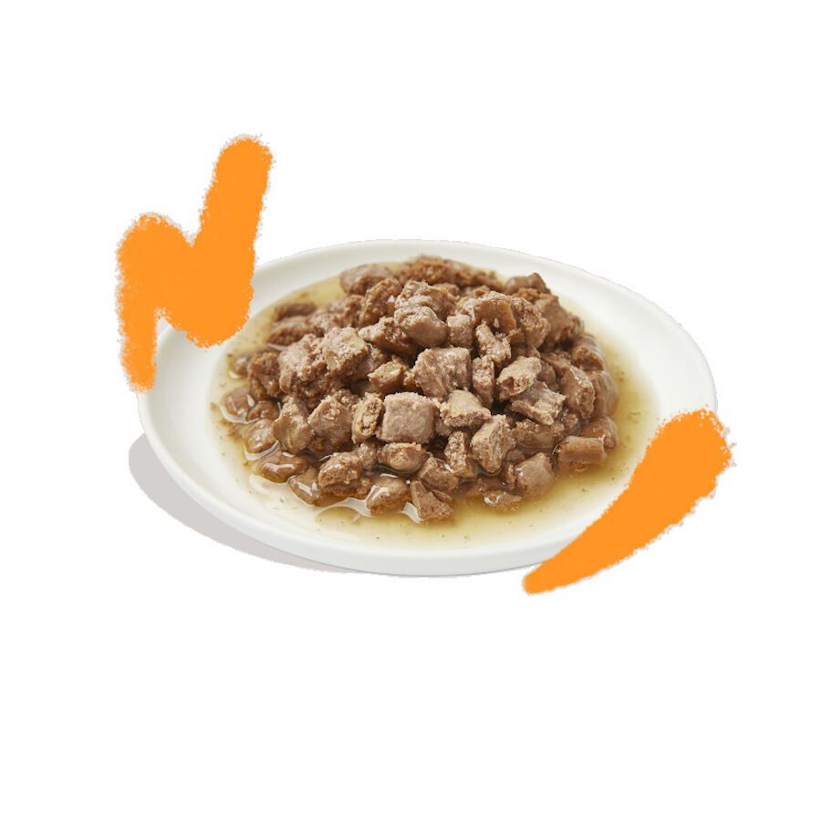 Edgard &amp; Cooper Filetes de Atún y Pollo lata para gatos thumbnail