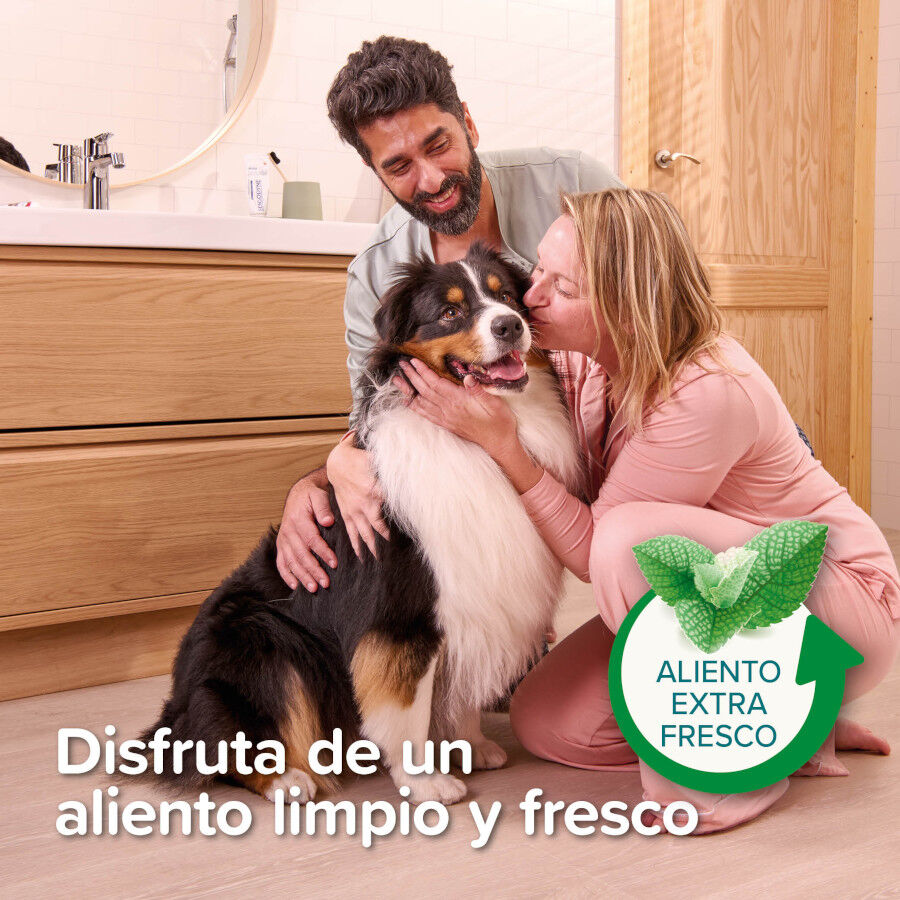 Beaphar Pasta Dental  Menta  Perejil para Perros y Gatos thumbnail
