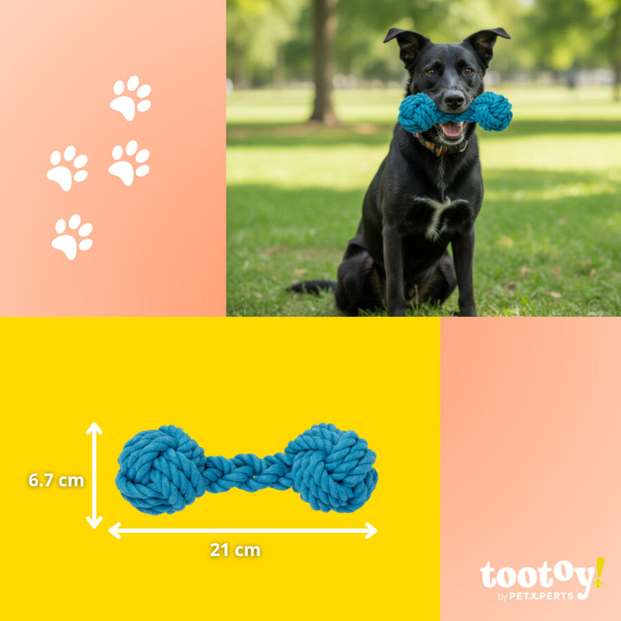 Tootoy! Hueso Mordedor de Cuerda Azul para perros, , large Imagen numero 4