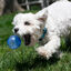 Kong Squeezz Geodz Pelota con Sonido para perros, , large indicador imagen numero 2