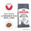 1.5 kg Royal Canin Adult Oral pienso para gatos, , large indicador imagen numero 2