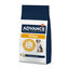 12 kg Advance Veterinary Diets Renal pienso para perros, , large indicador imagen numero 1