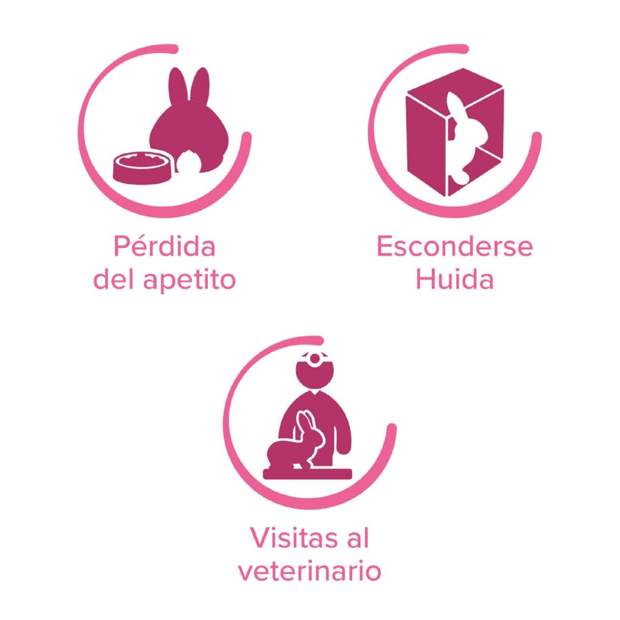 Beaphar RabbitComfort Spray Tranquilizante para conejos, , large Imagen numero 4