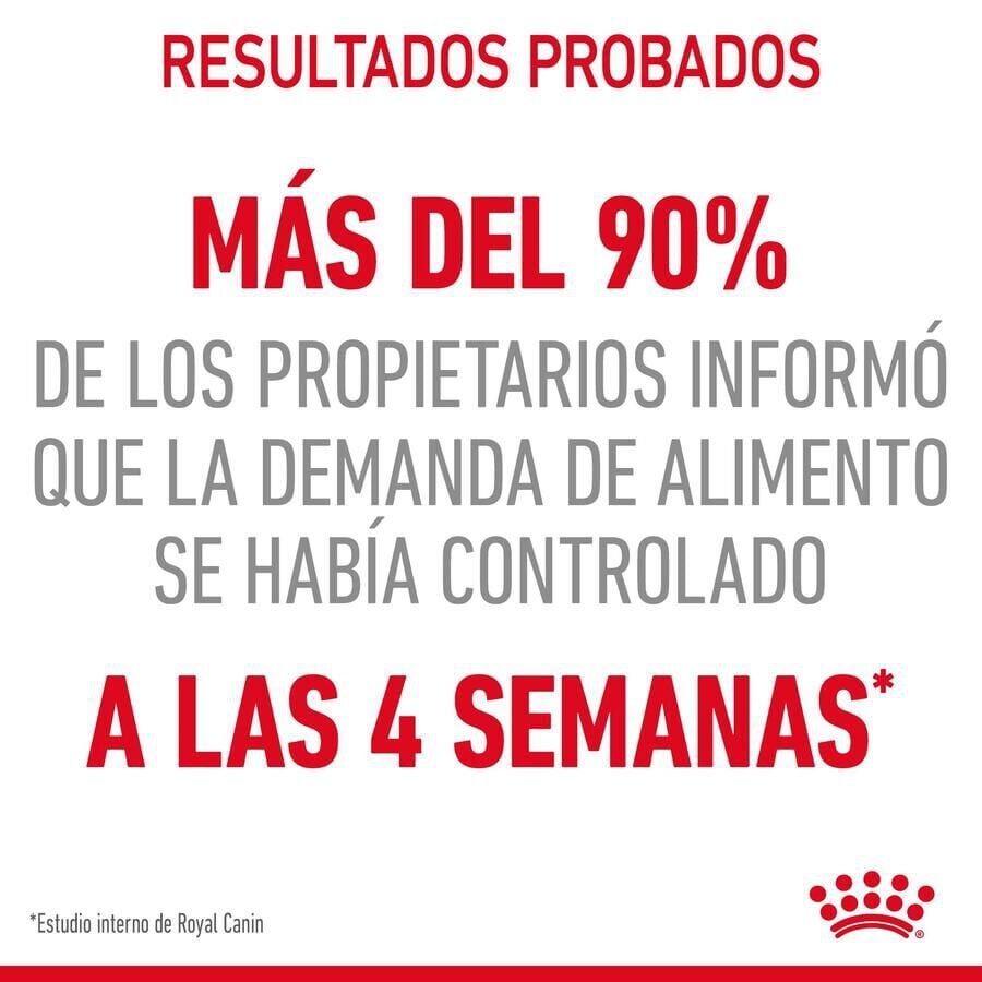 Royal Canin Appetite Control Care salsa sobre para gatos thumbnail