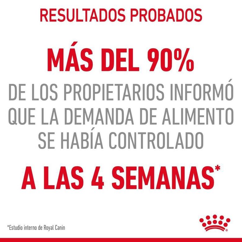 Royal Canin Appetite Control Care salsa sobre para gatos thumbnail