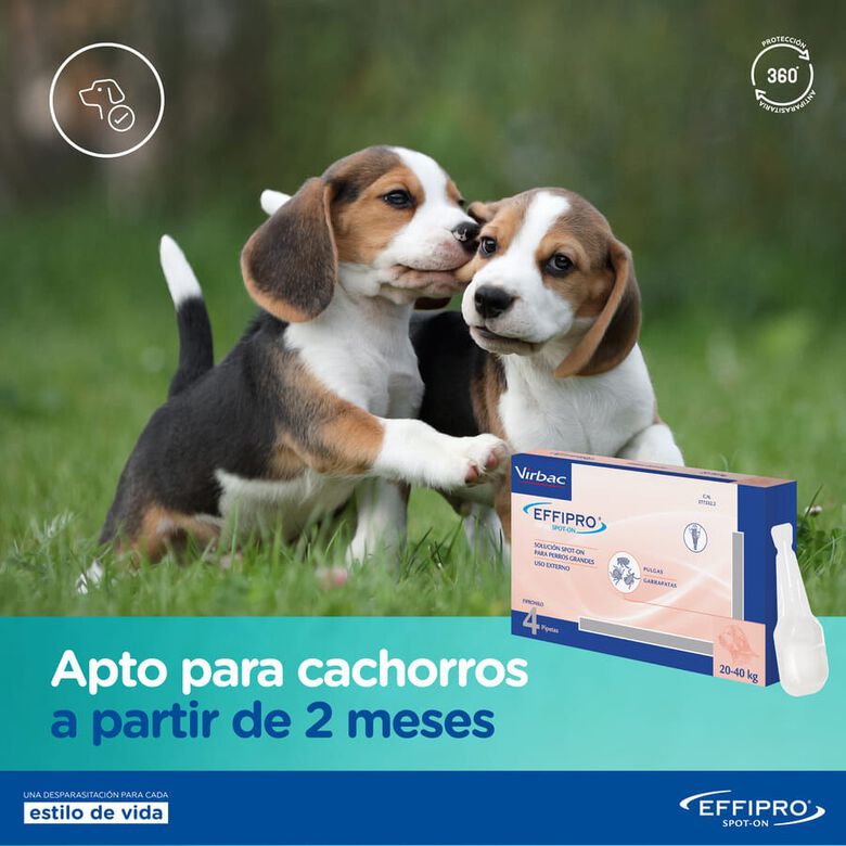 Effipro pipetas antiparásitos perros 40-60 kg thumbnail