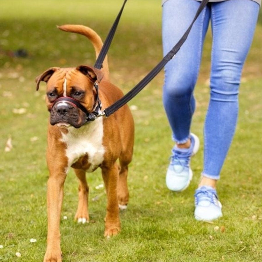 Halti Optifit collar antitirones negro para perros, , large Imagen numero 4