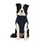 Gotoo Chaqueta Azul y Gris para perros, , large indicador imagen numero 7