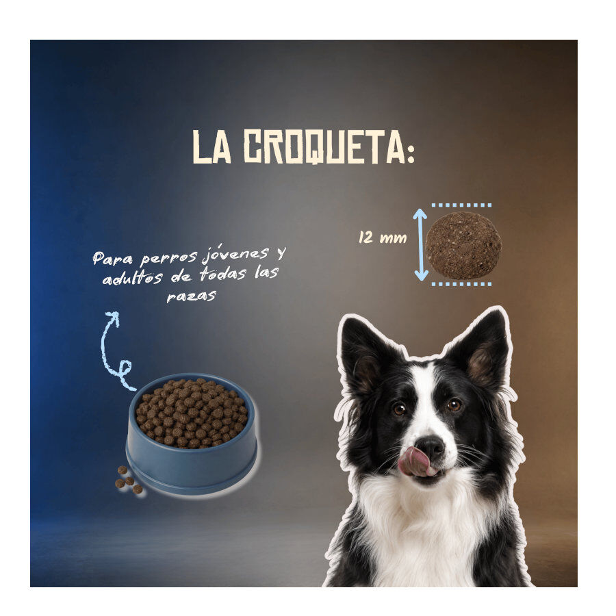 2 Kg Lenda Grain Free Pescado y Krill pienso para perros, , large Imagen numero 6