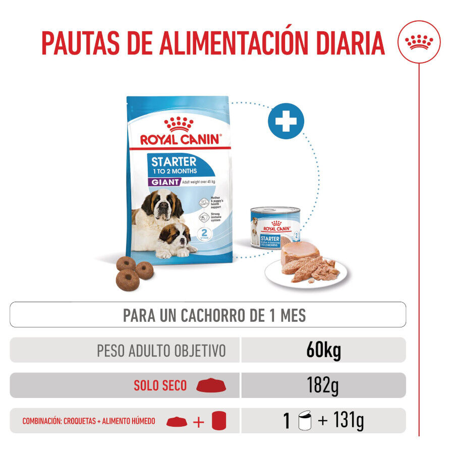 Royal Canin Starter Puppy Giant Pienso para perros thumbnail
