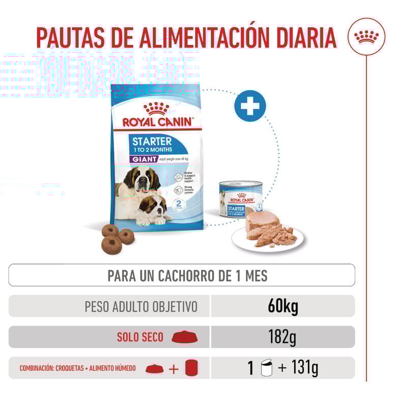 15 kg Royal Canin Starter Puppy Giant Pienso para perros,  Imagen numero 8 15 kg Royal Canin Starter Puppy Giant Pienso para perros, , large Imagen numero 8