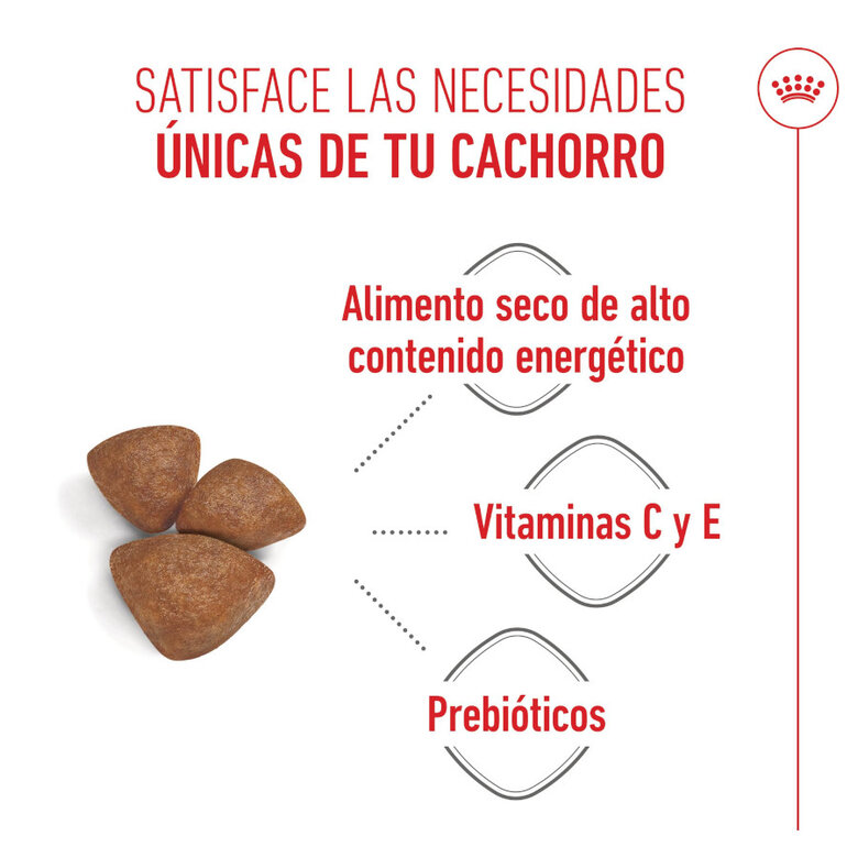 8 kg Royal Canin Starter MotheryBaby Mini pienso para perros,  Imagen numero 4 8 kg Royal Canin Starter MotheryBaby Mini pienso para perros, , large Imagen numero 4