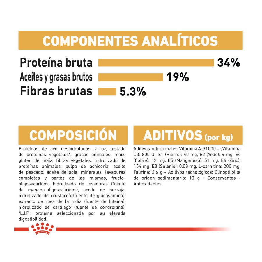 Royal Canin Adult British Shorthair pienso para gatos thumbnail