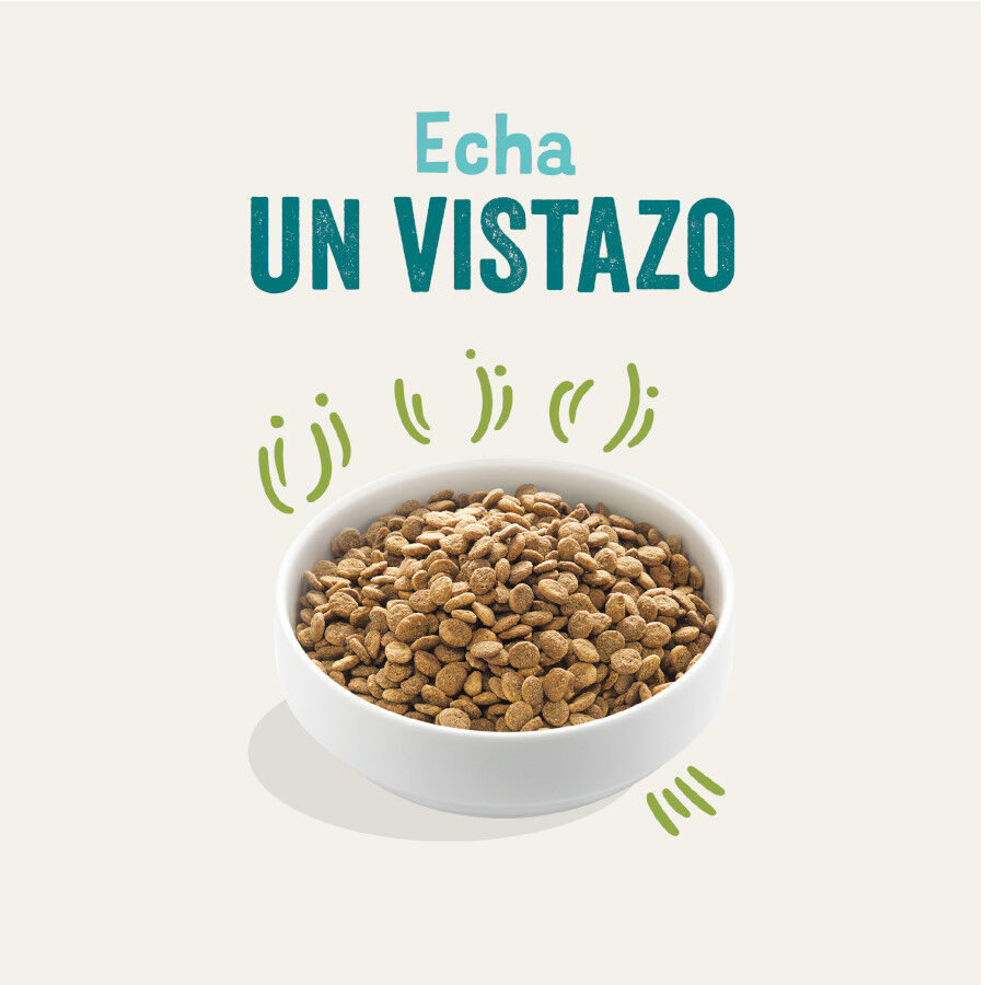 Edgard &amp; Cooper Adult Cordero pienso para perros thumbnail