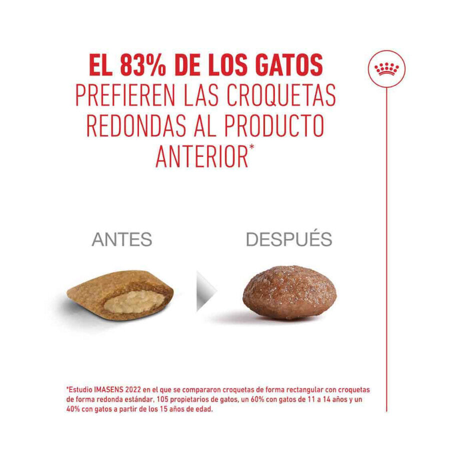 Royal Canin Ageing 11+ Sterilised pienso para gatos thumbnail