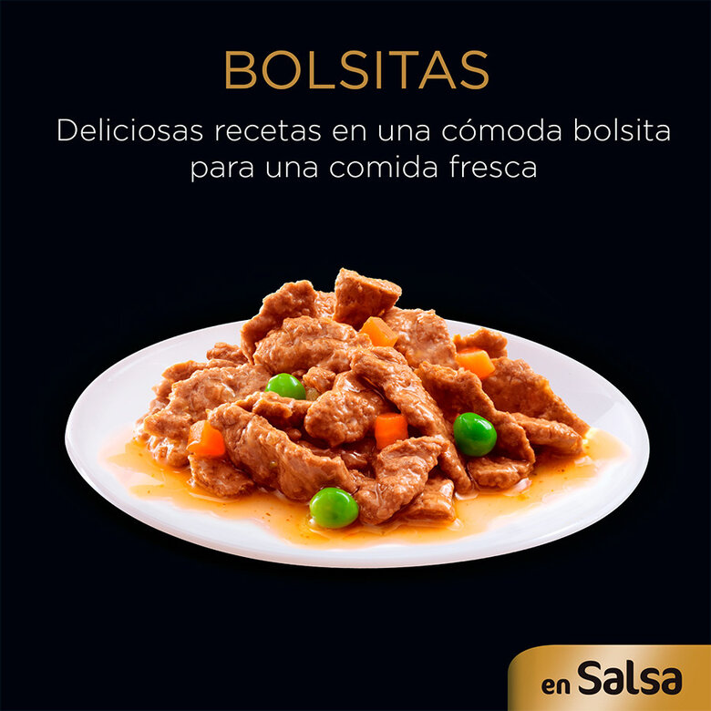 4 sobres x 100 g Cesar Carnes Mixtas Salsa en Bolsita para Perros ,  Imagen numero 2 4 sobres x 100 g Cesar Carnes Mixtas Salsa en Bolsita para Perros , , large Imagen numero 2