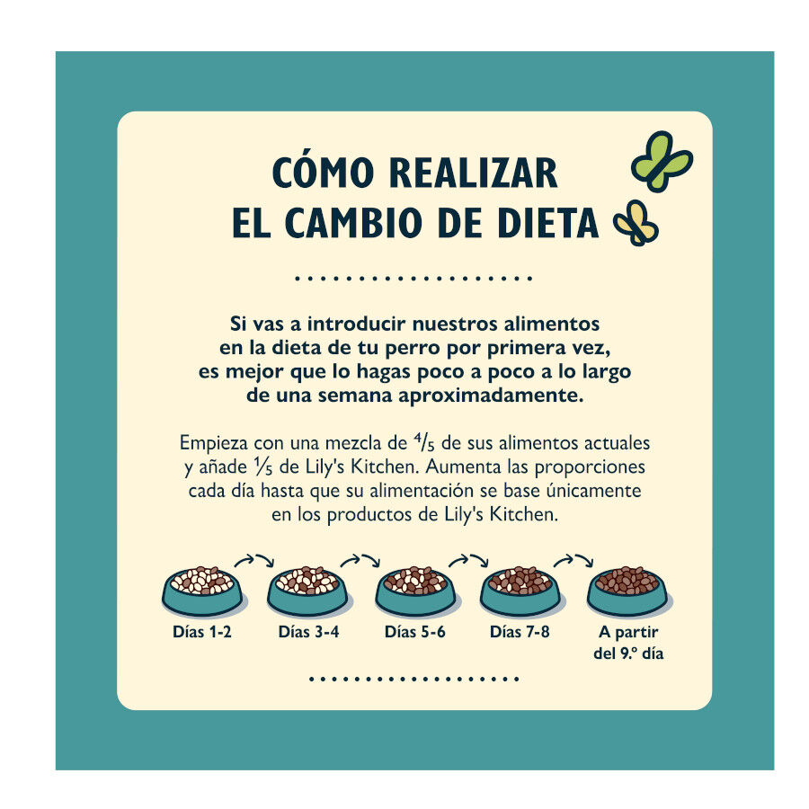 Lily&#039;s Kitchen Adult Supper Salmón pienso para perros thumbnail