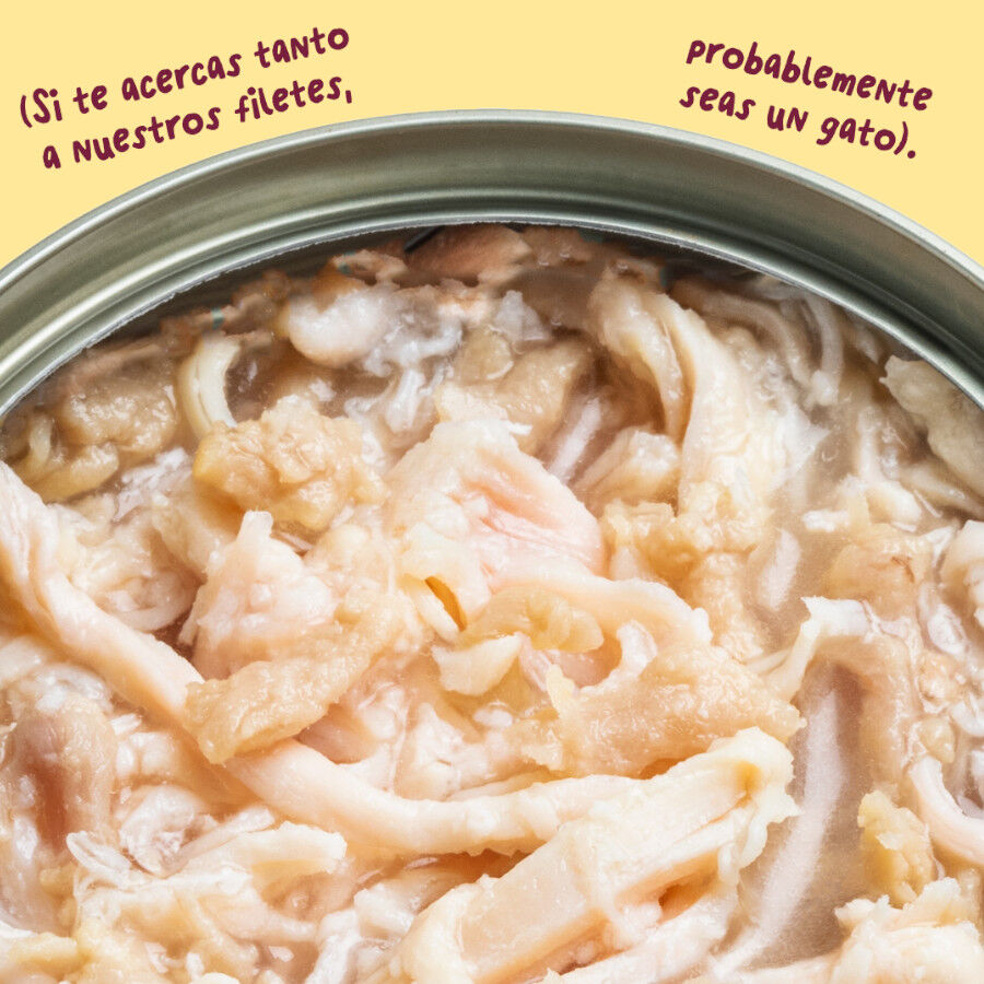 70 g Edgard & Cooper Filetes de Pollo y Pavo Lata para gatos, , large Imagen numero 5