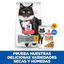 Hill's Science Plan Sterilised Mature Pollo en Salsa sobre para gatos, , large indicador imagen numero 4