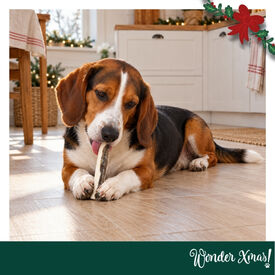 Wonder Christmas Palitos con Pescado Snacks para perros