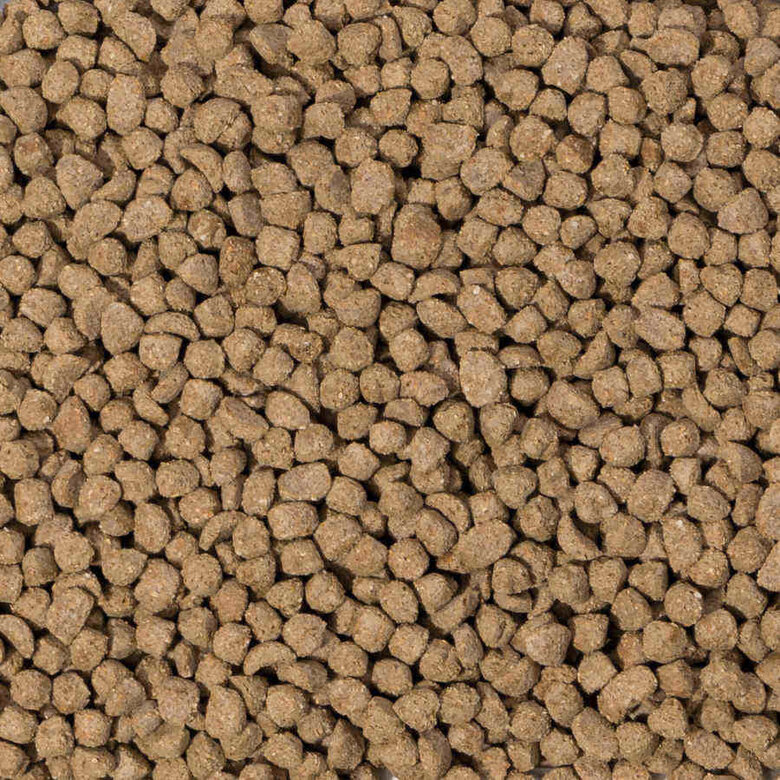 Beaphar Care+ Conejo Junior alimento para conejos, , large image number null