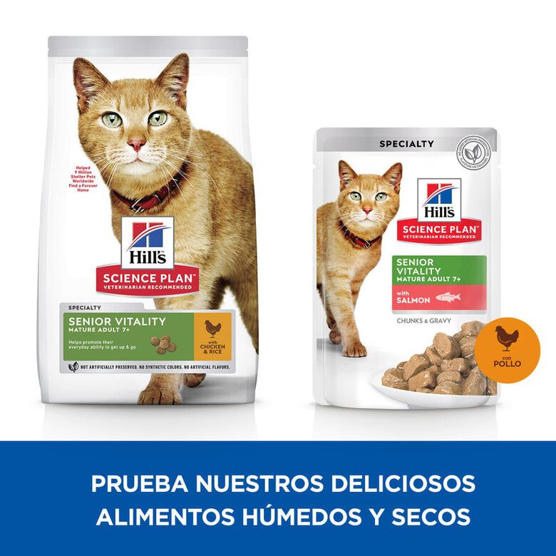 Hill&#039;s Science Plan Youthful Vitality Pollo pienso para gatos thumbnail