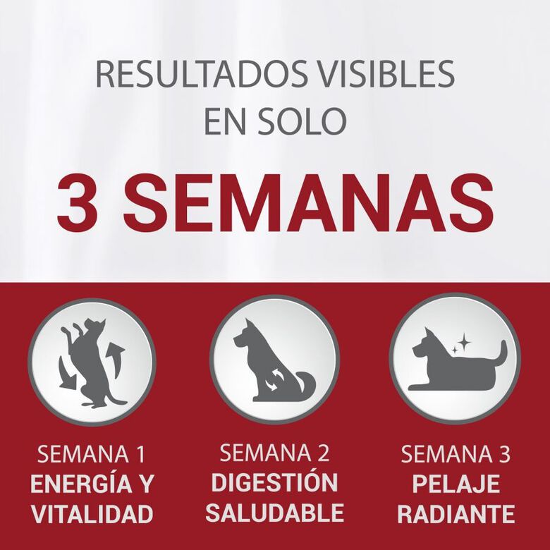 Purina One Senior 8+ Mini pienso para perros thumbnail