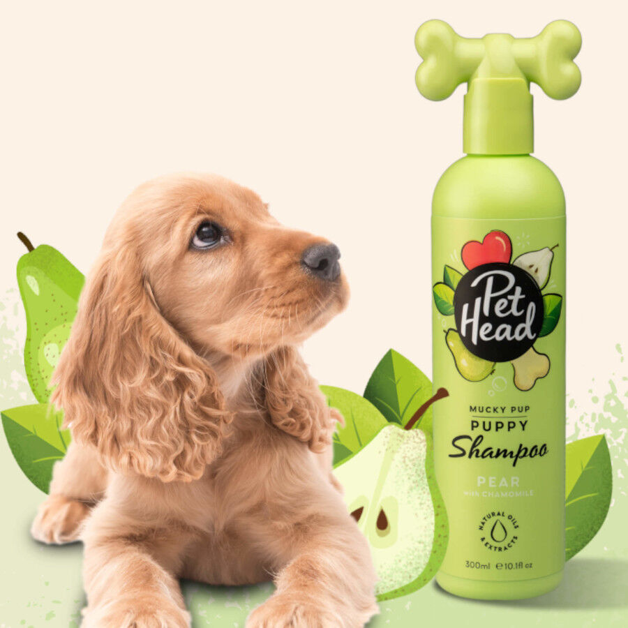 Pet Head champ&uacute; de pera para cachorros, , large Imagen numero 3