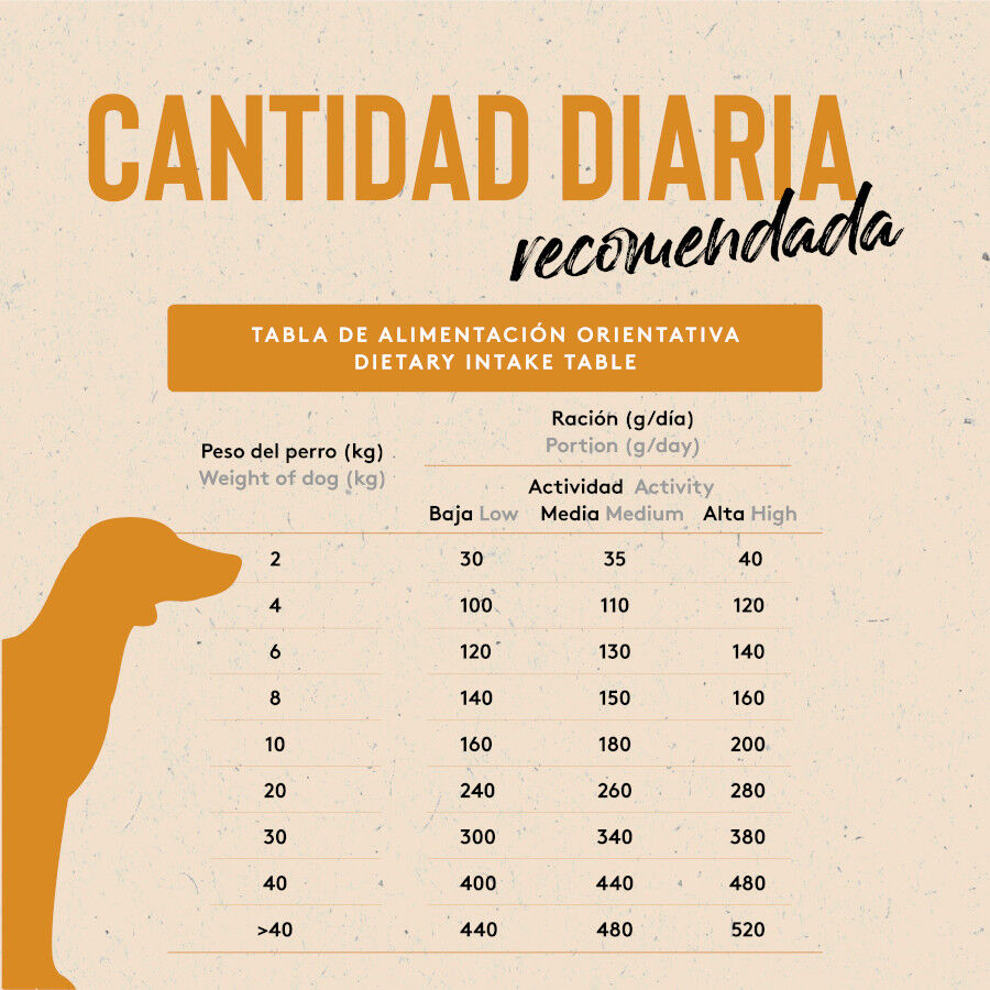 12 kg Dibaq Sense Low Grain Adult Pollo Pienso para perros, , large Imagen numero 6