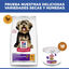 1.5 kg Hill's Science Plan Sensitive Stomach y Skin Small y Mini Pollo pienso para perros, , large indicador imagen numero 7