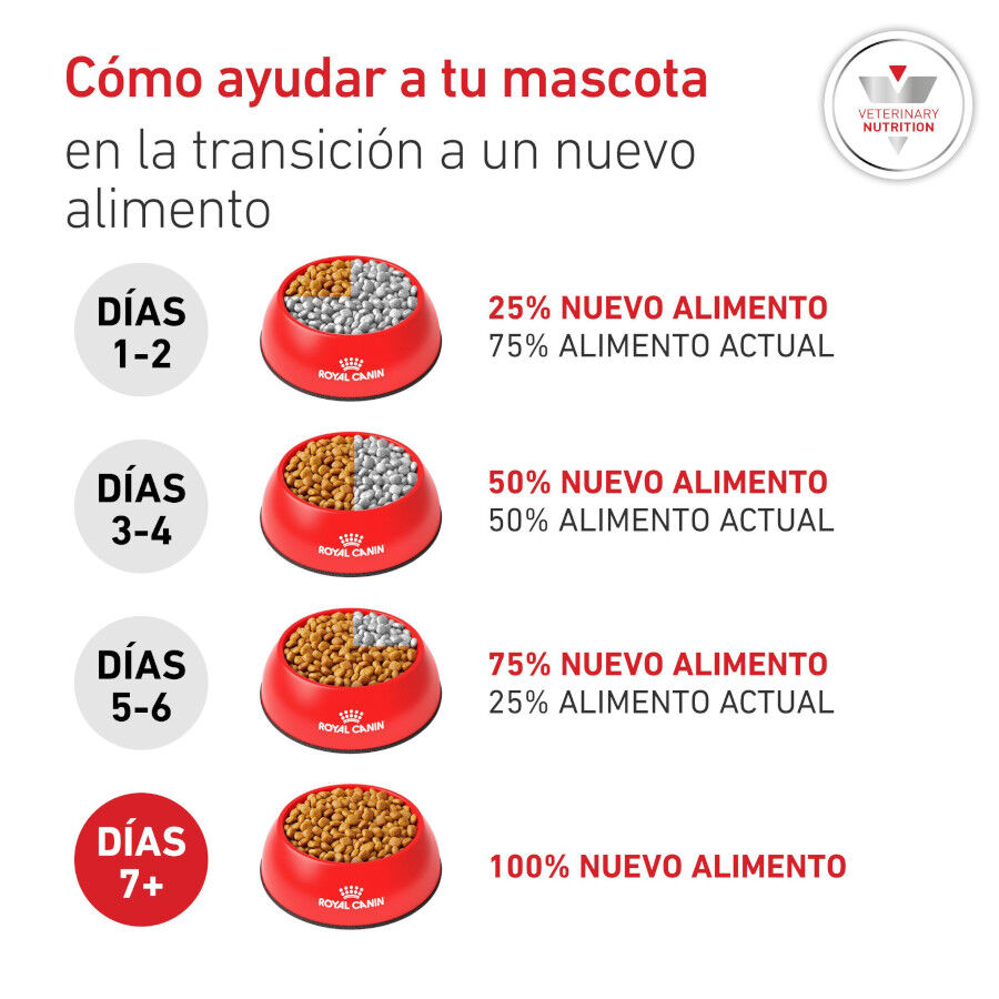 1.5 kg Royal Canin Veterinary Diabetic pienso para perros, , large Imagen numero 8