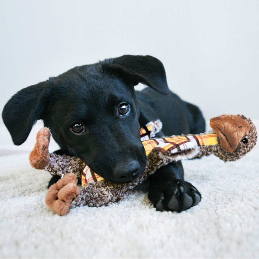 Kong Shakers Luv’s Jirafa De Peluche para perros thumbnail