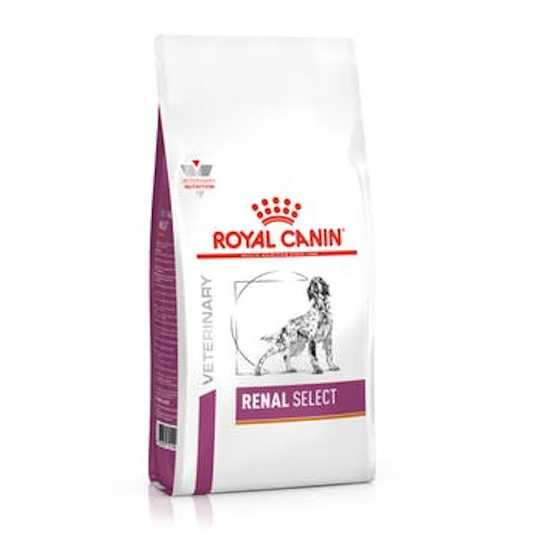 10 kg Royal Canin Renal Select pienso para perros,  Imagen numero 1 10 kg Royal Canin Renal Select pienso para perros, , large Imagen numero 1