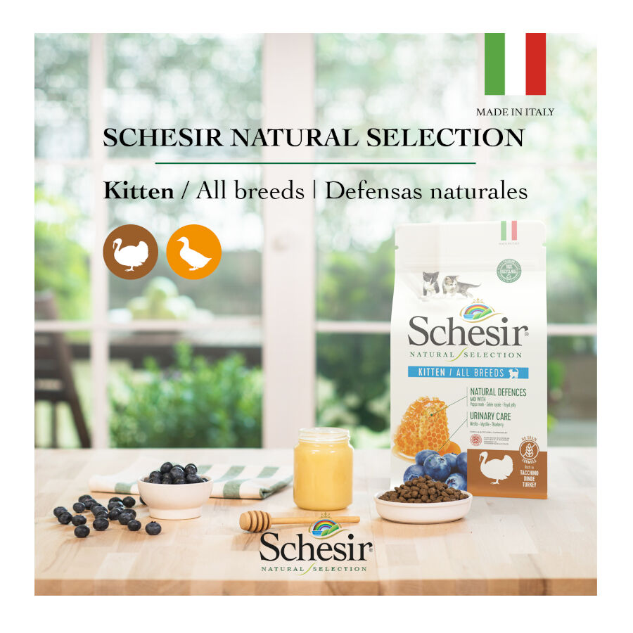 1.4 kg Schesir Kitten Natural Selection Pavo pienso , , large Imagen numero 4