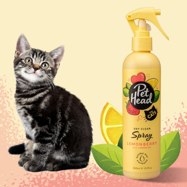 Pet Head colonia desodorante de fresa/limón para gatos,  Imagen numero 2 Pet Head colonia desodorante de fresa/limón para gatos, , large Imagen numero 2