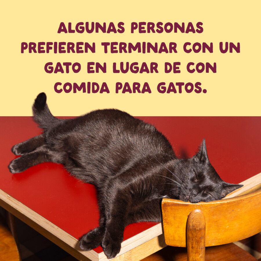 70 g Edgard & Cooper Filetes de Pollo y Pavo Lata para gatos, , large Imagen numero 9