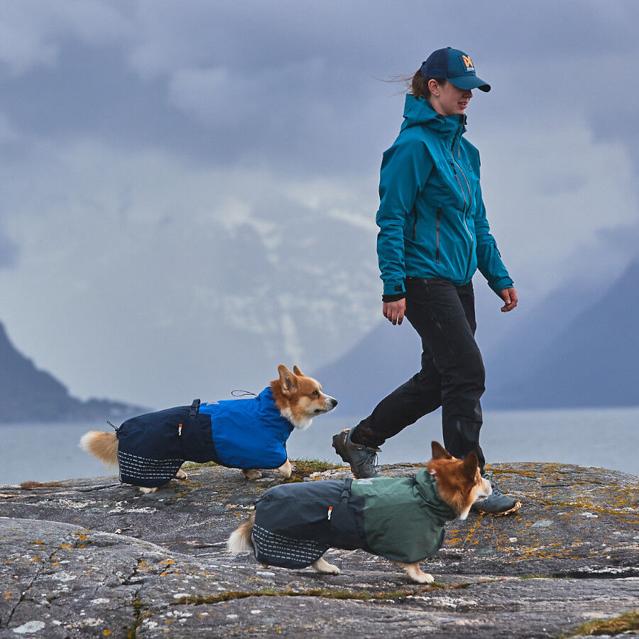 Non-stop dogwear Fjord Chubasquero Impermeable Negro para perros thumbnail